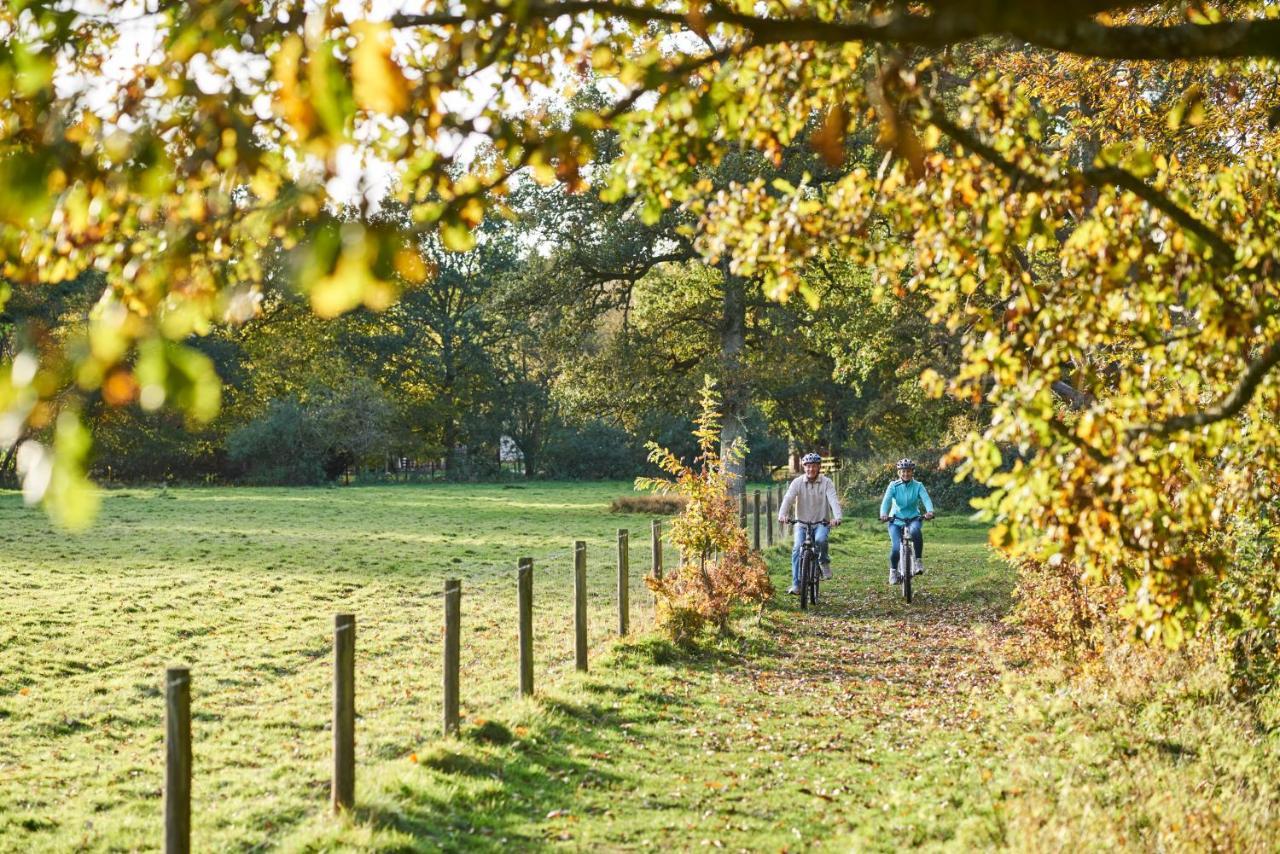 Отель Whitemead Forest Park Лидней Экстерьер фото