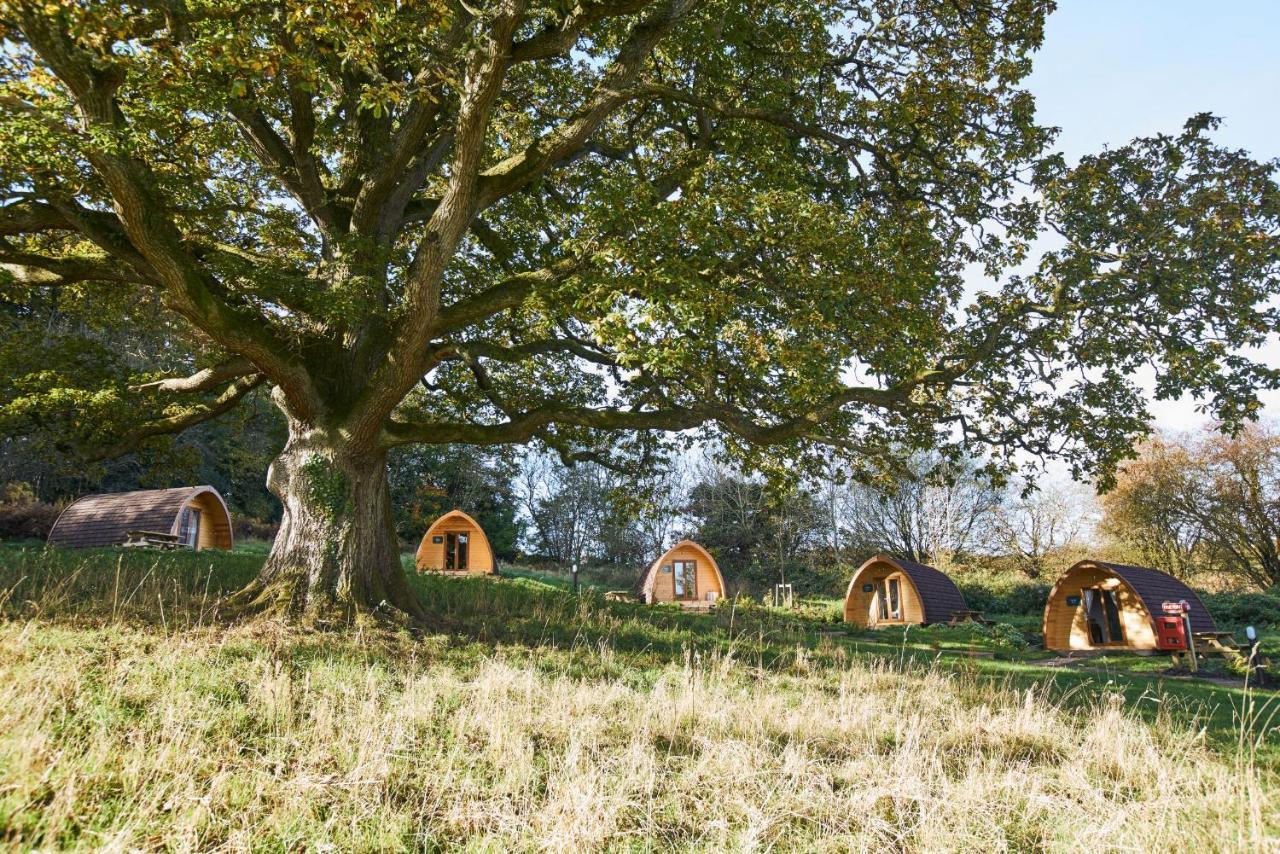 Отель Whitemead Forest Park Лидней Экстерьер фото